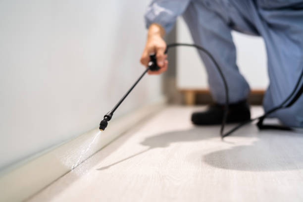 Rodent Entry Point Assessment in Laingsburg