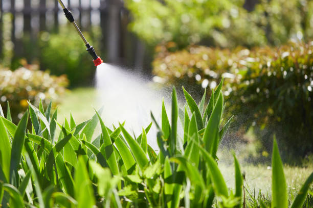 Tamper-Resistant Bait Stations for Rodents in Laingsburg