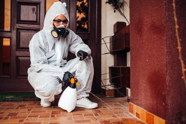 Attic and Crawl Space Rodent Treatment in Laingsburg